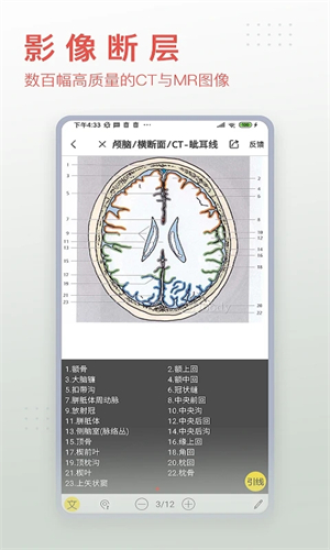 3DBody解剖软件6.0安卓版(2)