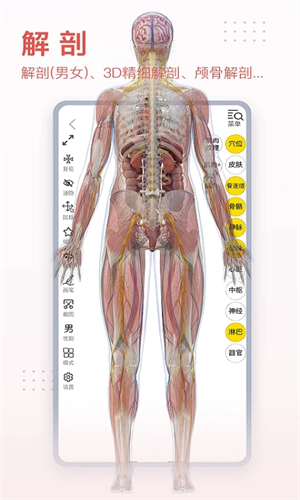 3DBody解剖软件6.0安卓版(4)