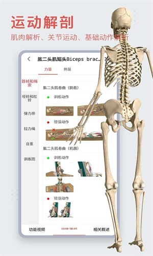 3DBody解剖软件6.0安卓版(5)