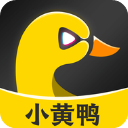 小黄鸭app v1.2