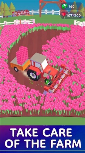 tulip farm官网版图2