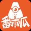 番木瓜