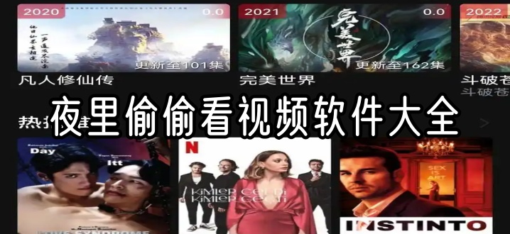 夜里偷偷看视频软件大全