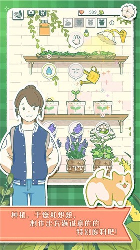 寄心茶屋(1)