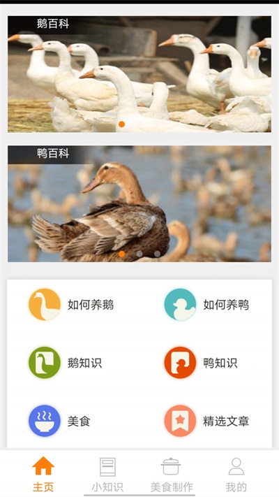 鹅鸭之家2025(1)
