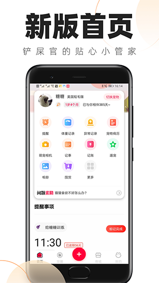 铲屎官的日常(1)