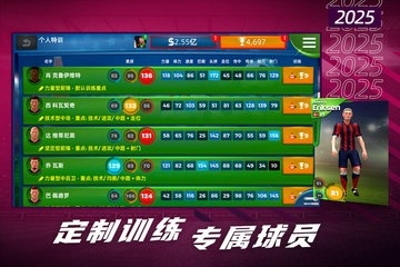 梦幻足球世界2025汉化版