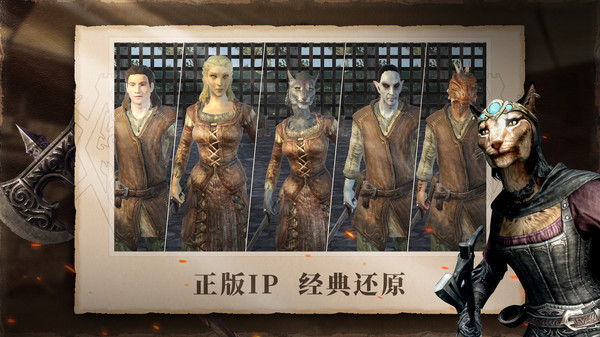 上古卷轴刀锋 v1.6.3.1.203 安卓版图2