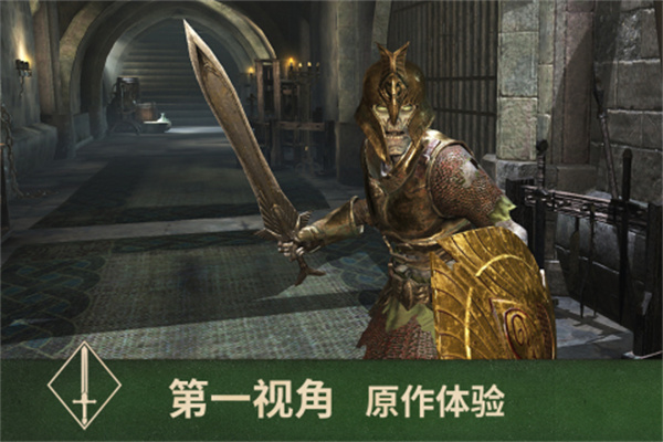 上古卷轴刀锋免谷歌 v1.6.3.1.203 安卓版3