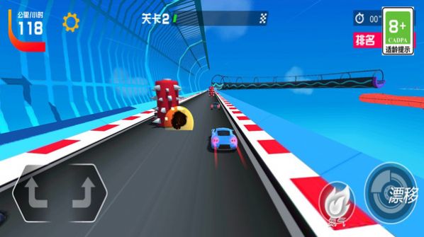 飙车赛车手截图1