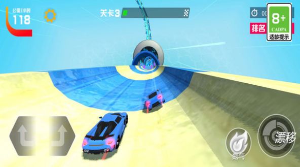 飙车赛车手截图3