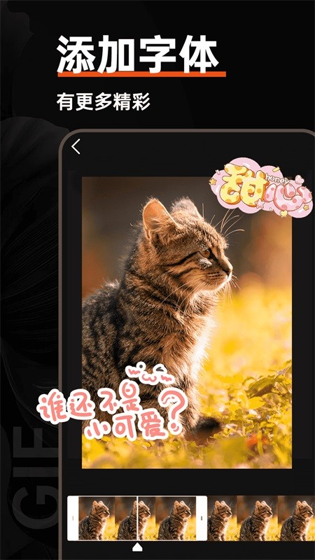 GIF动图制作器图2