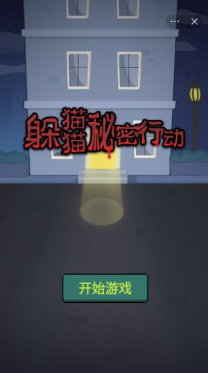 躲猫猫秘密行动2