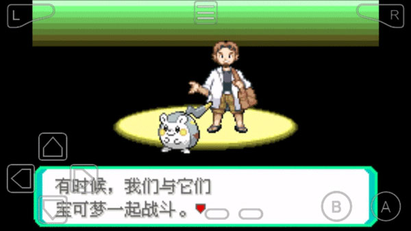 口袋妖怪究极绿宝石5.5许愿盒