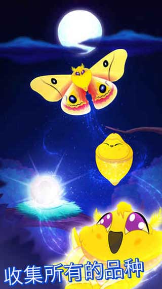 彩翼之星夜图4