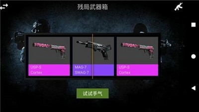 CS开箱模拟器
