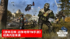 使命召唤战区正版(5)