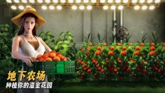 七号堡垒秘密(Last Fortress Underground)图5