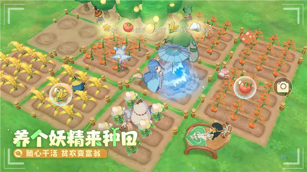 织梦森林正版(1)