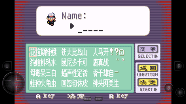 口袋妖怪蓝宝石中文版图1