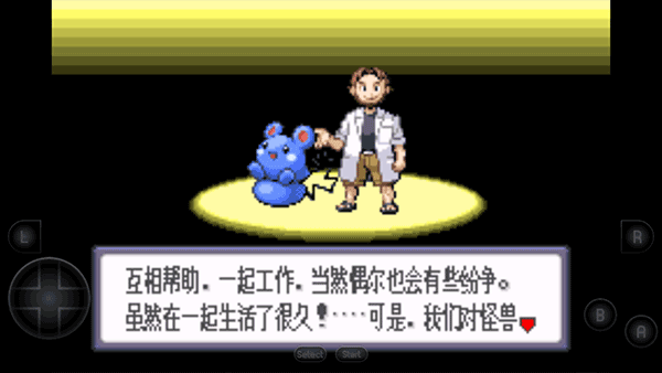 口袋妖怪蓝宝石中文版图2