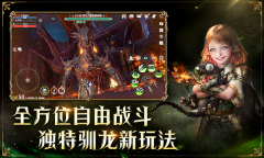 龙之灵域网易正版