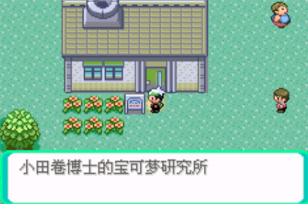 口袋妖怪传说绿宝石1.(2)