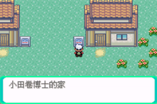 口袋妖怪传说绿宝石1.(3)