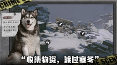 我在末日捡垃圾(2)
