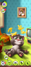 我的汤姆猫无需网络版