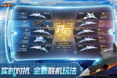 蓝天卫士游戏手机版(2)