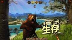 辐射岛生存中文版截图2