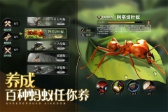 小小蚁国内购 v1.85.0 安卓版图2