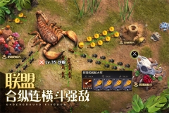 小小蚁国内购 v1.85.0 安卓版图5