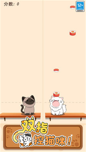 猫咪二重奏游戏 v1.0.4 安卓版(5)