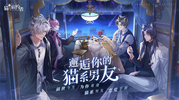 猫之宿约者 v1.0 免费版截图1