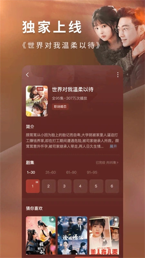 番茄短剧正版图2