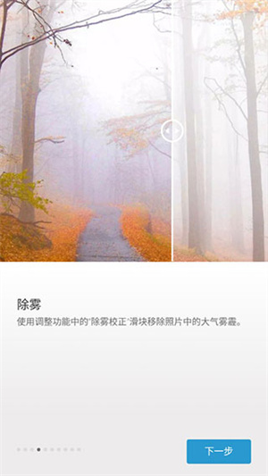 Adobe Express解锁专业版图5