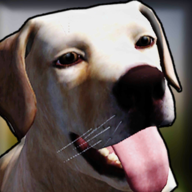 狗收容所模拟器3D V6.0