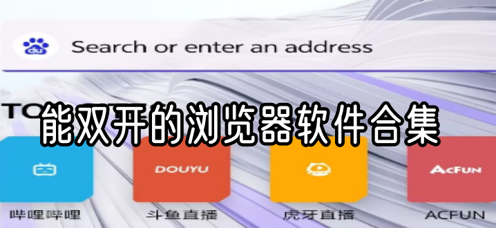 能双开的浏览器软件合集