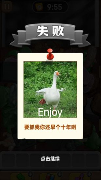 抓了个鹅(3)