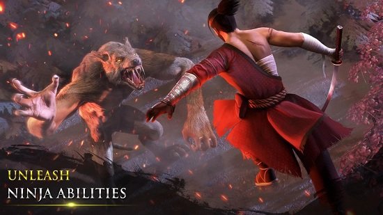 忍者武士隆最新版