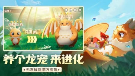 龙骑士学园测试版图2