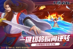 三国战纪2正版(4)