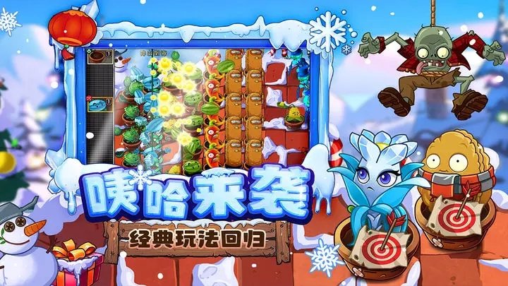 植物大战僵尸2010中文版(3)