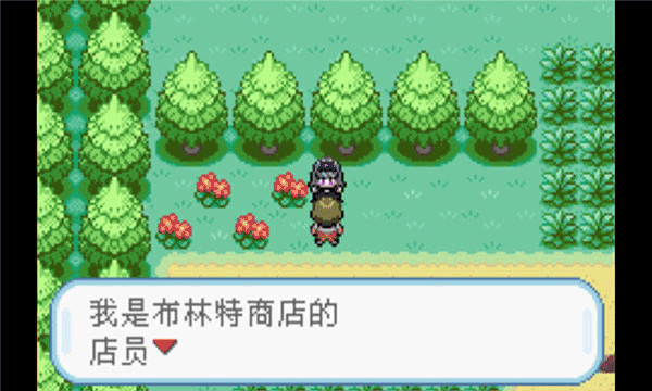 口袋妖怪火红全随机版图1