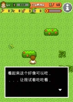 无人岛大冒险中文版图3
