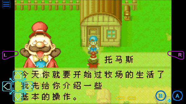 牧场物语矿石镇的伙伴们金手指手机版图3