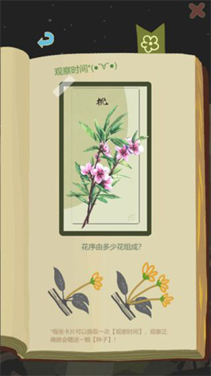 老农种树最新版4