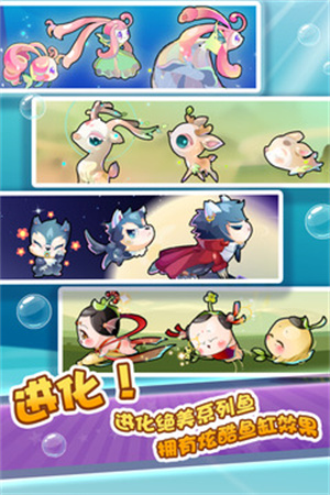 开心水族箱老版图1